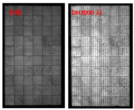 图13 组件采用VA33含量EVA封装后，DH2000前后的EL图